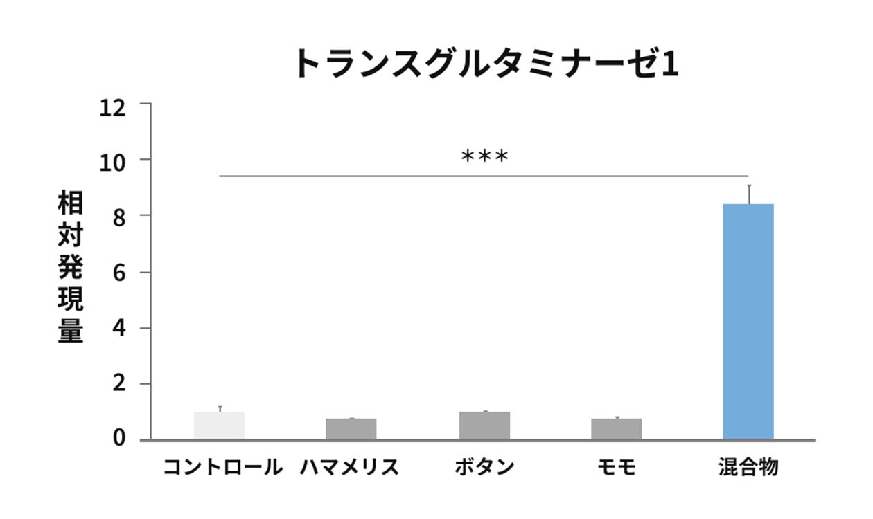 トランスグルタミナーゼ1の発現量のグラフ