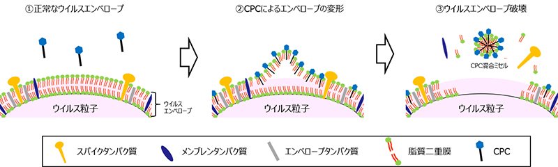 2021102502_01.jpg