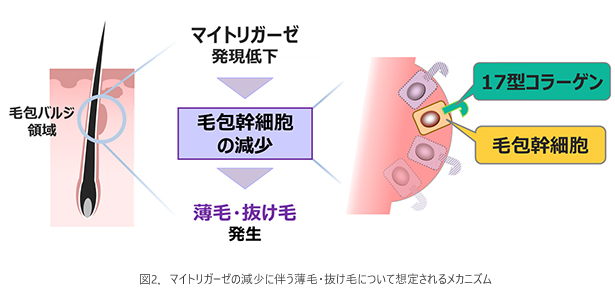 2023021501-2.jpg
