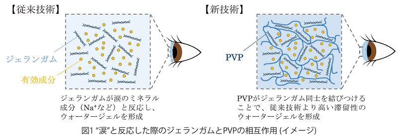 図1_製剤イラスト.jpg