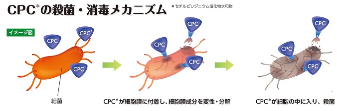 CPC解説図.jpg
