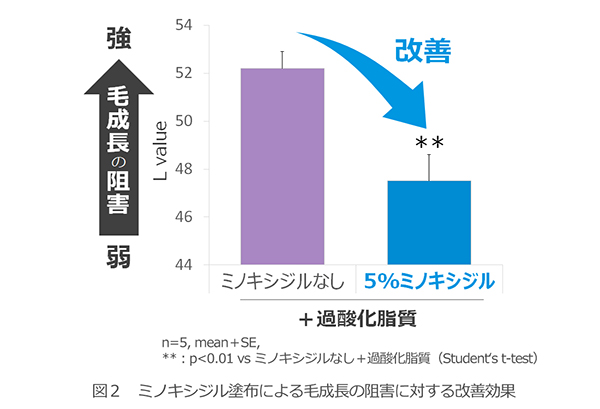 2024071101-3.jpg