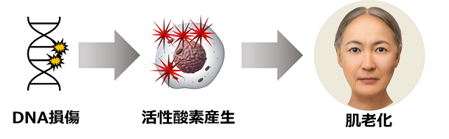 2024120501-3.png