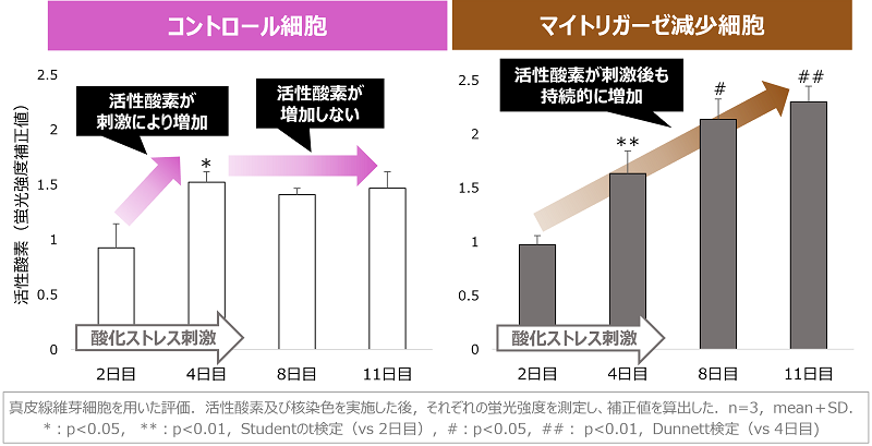 2024120501-4.png