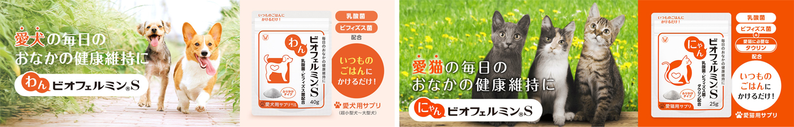2news_2025031201-1.jpg