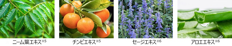 4種の植物エキス.jpg