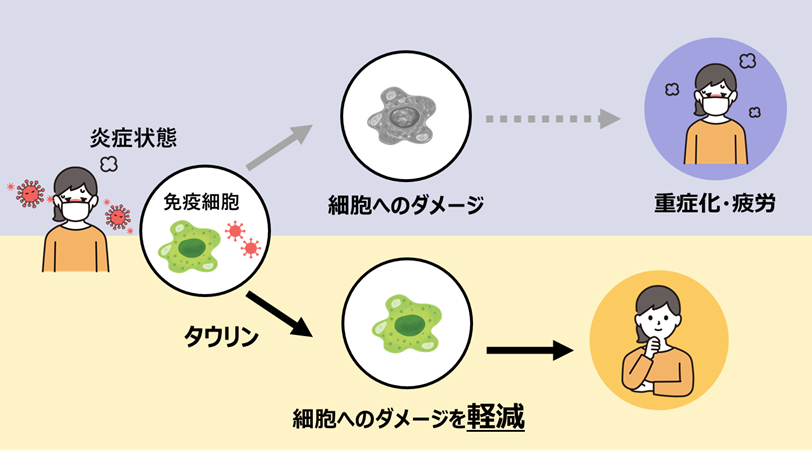画像5.png