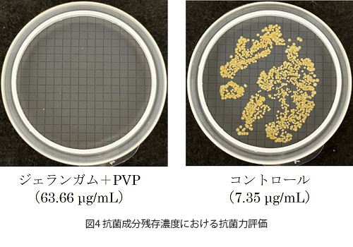 図4_微生物試験結果.jpg