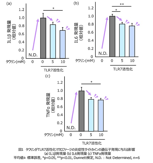 画像①-2.jpg