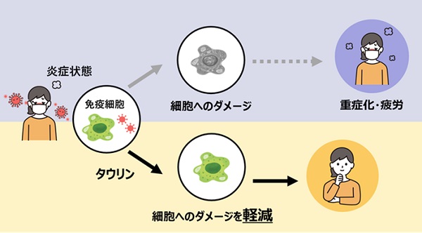 influenza-07.jpg