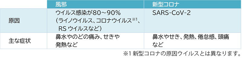 kaze-2.jpg