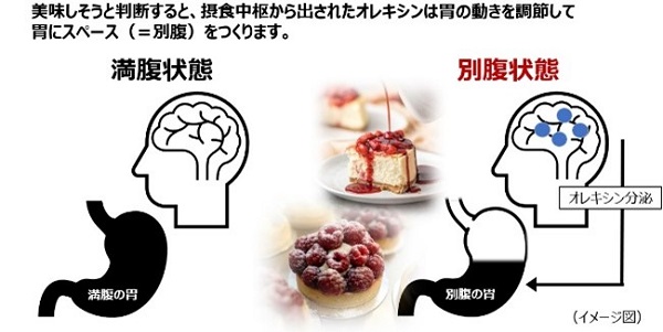 news_2025021801-6.jpg
