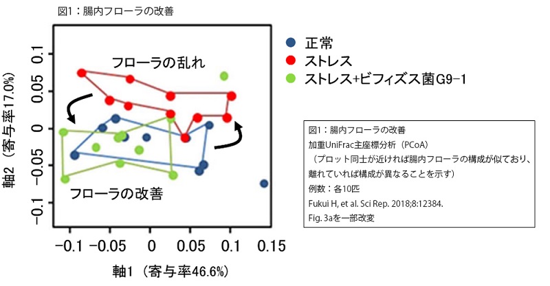 onaka_2025010901-5.jpg
