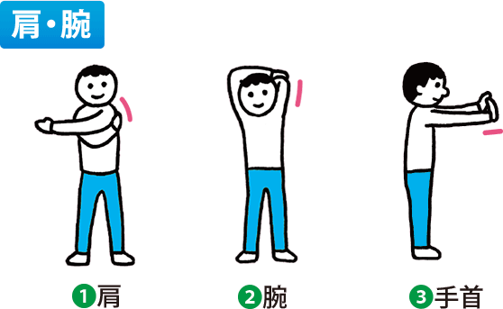 肩・腕:1 肩、2 腕、3 手首