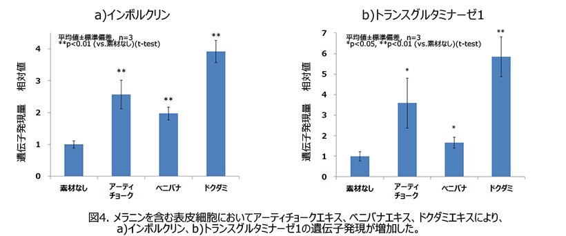 2020121701_04.jpg