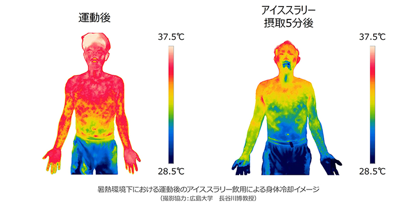 暑熱環境下における運動時のアイススラリー飲用が注意力の低下を抑制