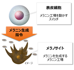 2023080301-02.jpg