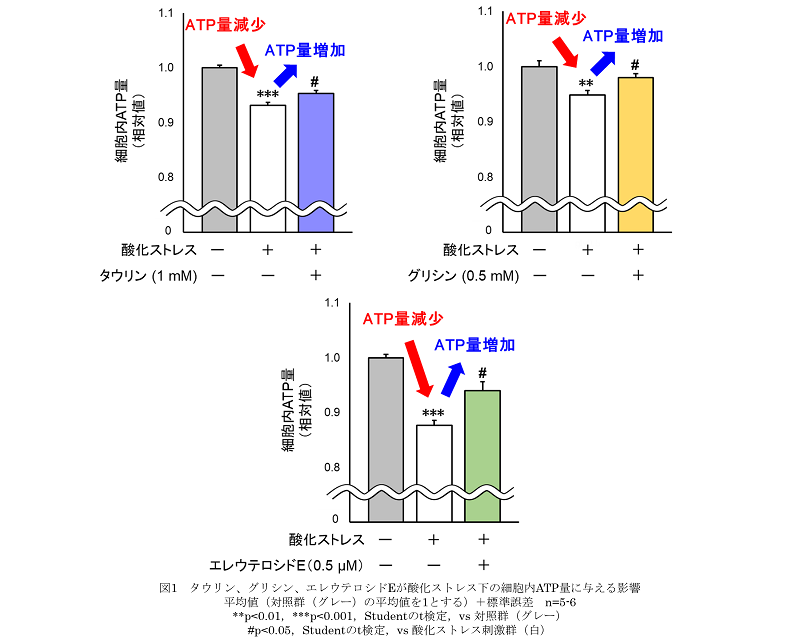 2024031202-5.png