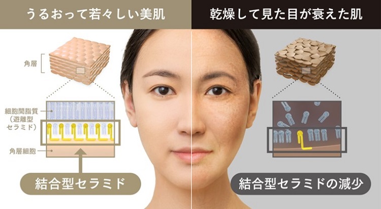 画像1.jpg