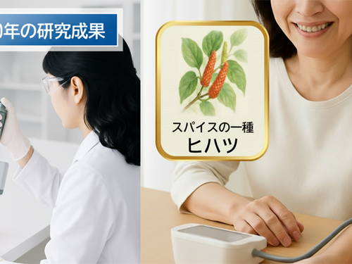 大正製薬　約20年にわたるヒハツ由来ピペリンの 研究成果について、血管を専門とした学術集会で発表