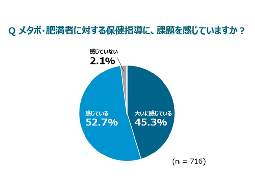 【実態調査】メタボ・肥満に対する特定保健指導