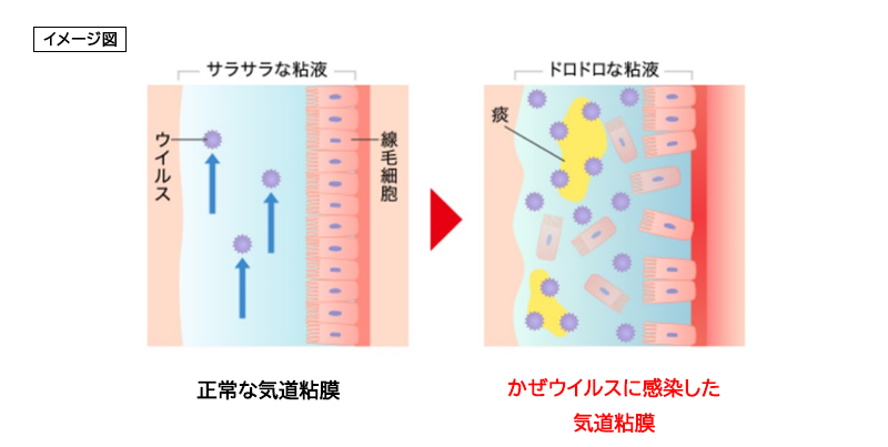 子どもは「のどの痛み」に気づきにくい!? ～かぜ薬の臨床試験結果から考察～