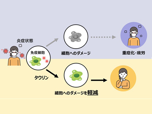 インフルエンザ大流行！　新年も引き続き免疫対策を。