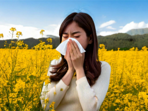 あなたも“隠れ”花粉症！？ 約20％の人が花粉症ではないと答えている。