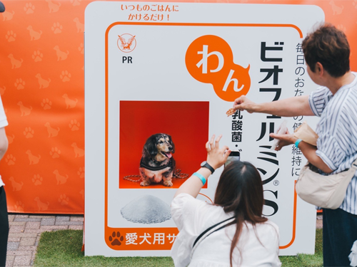 「わんビオフェルミンS」をジャパンわんこフェスタ2025秋inお台場に出展