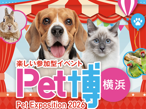 ペット博横浜に「わんビオフェルミンS・にゃんビオフェルミンS」を出展