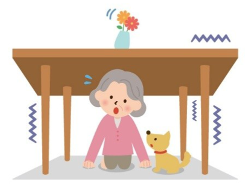 『わんちゃん・ねこちゃん、もしものときの意識調査』を実施