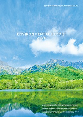 Environmental Report 2020