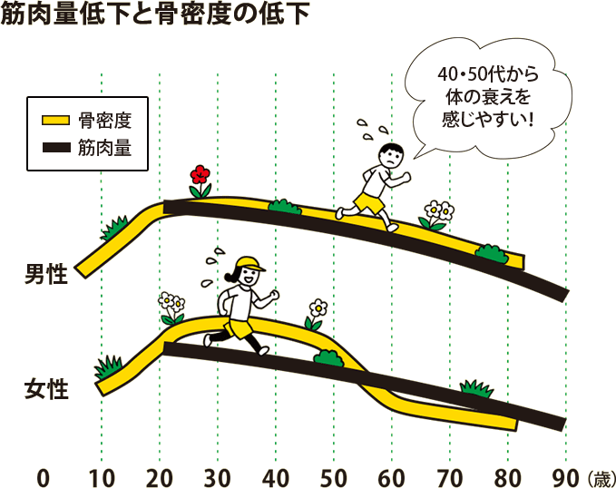 筋肉量低下と骨密度の低下:40・50代から体の衰えを感じやすい！