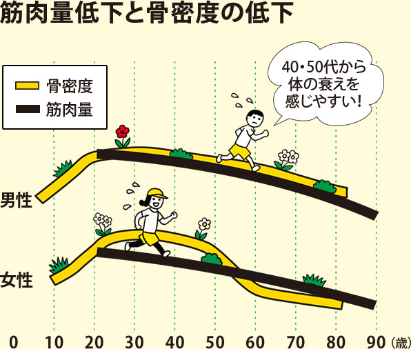 筋肉量低下と骨密度の低下:40・50代から体の衰えを感じやすい！