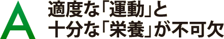 適度な「運動」と十分な「栄養」が不可欠