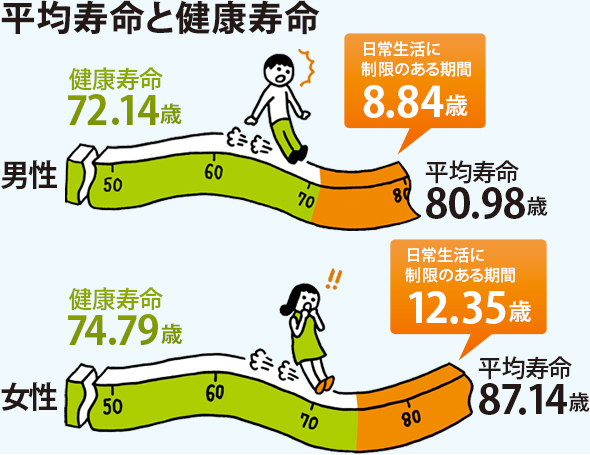 平均寿命と健康寿命 男性:健康寿命72.14歳、平均寿命80.98歳、要介護8.84歳、女性:健康寿命74.79歳、平均寿命87.14歳、要介護12.35歳