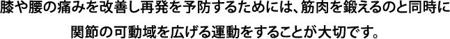 膝や腰の痛みを改善し再発を予防するためには、筋肉を鍛えるのと同時に関節の可動域を広げる運動をすることが大切です。