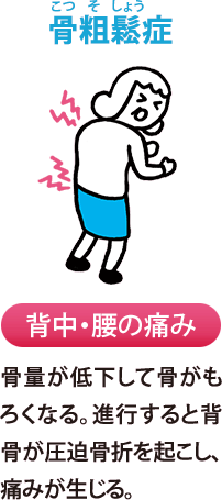 骨粗鬆（こつそしょう）症:背中・腰の痛み　骨量が低下して骨がもろくなる。進行すると背骨が圧迫骨折を起こし、痛みが生じる。