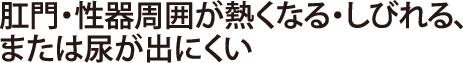 肛門・性器周囲が熱くなる・しびれる、または尿が出にくい