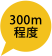 300m程度