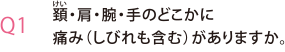 頚（けい）・肩・腕・手のどこかに痛み（しびれも含む）がありますか。