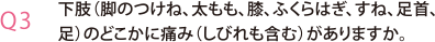 下肢（脚のつけね、太もも、膝、ふくらはぎ、すね、足首、足）のどこかに痛み（しびれも含む）がありますか。