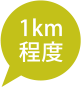 1km程度