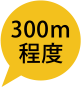 300m程度