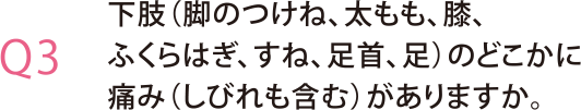 下肢（脚のつけね、太もも、膝、ふくらはぎ、すね、足首、足）のどこかに痛み（しびれも含む）がありますか。